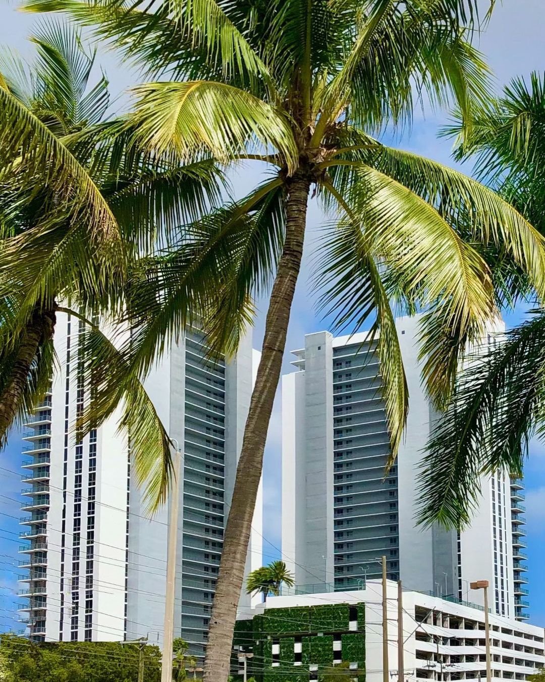 16385 Biscayne Blvd, North Miami Beach, Florida 33160, ,16385 Biscayne Blvd,7001